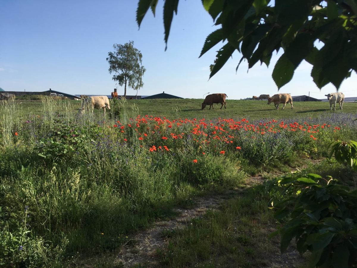 Appartamento Zum Schwalbennest Wredenhagen Esterno foto