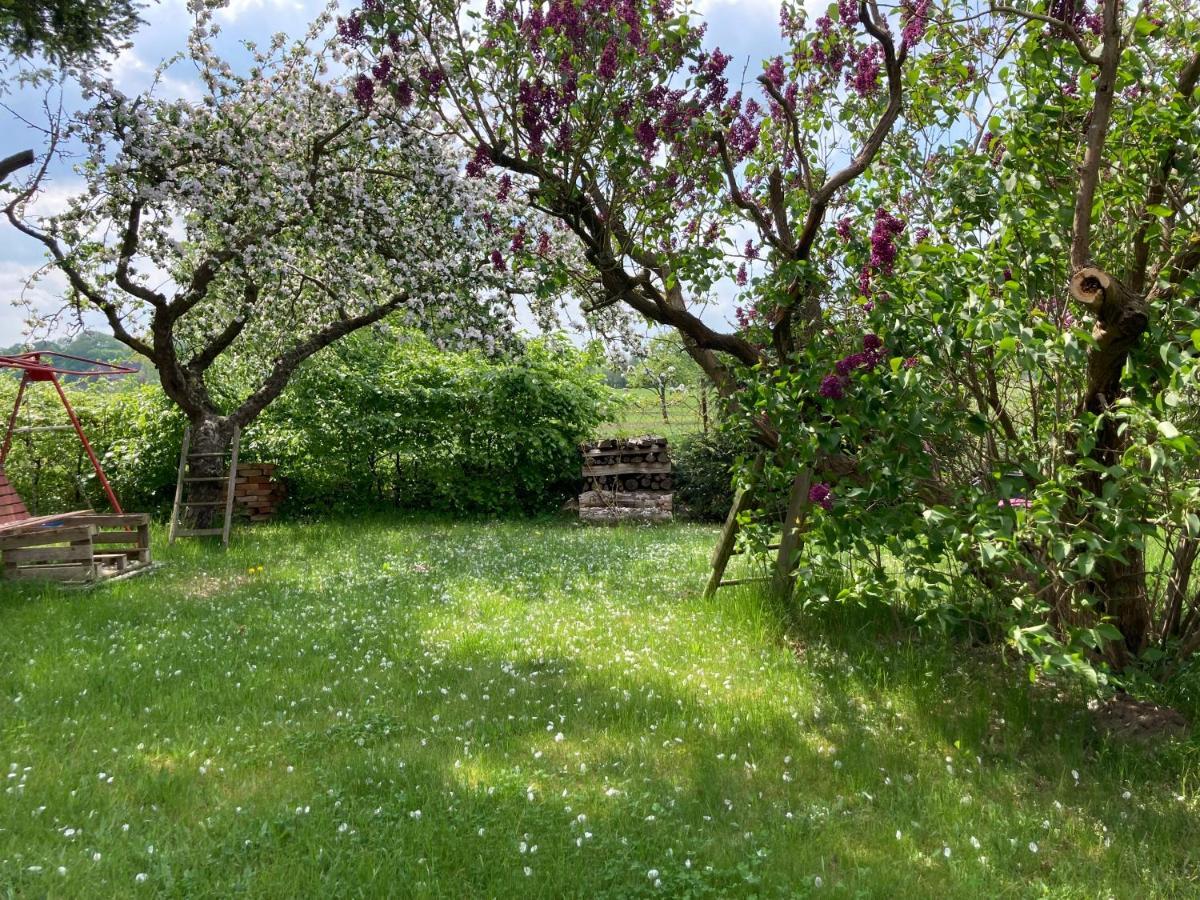 Appartamento Zum Schwalbennest Wredenhagen Esterno foto